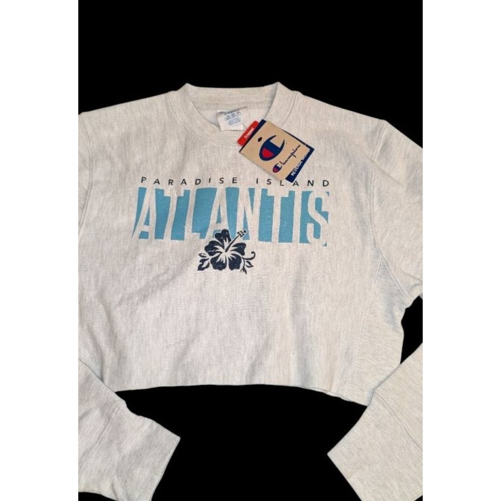 Champion Grey Blue Cropped Sweatshirt Womens XS